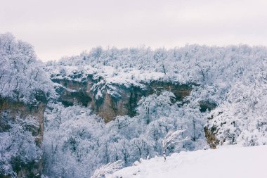 kış manzara uçurum ve kış orman ile
