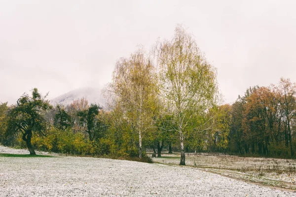 Caída de la primera nieve en el parque de otoño —  Fotos de Stock
