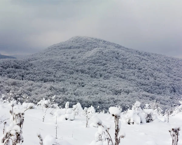 Paysage hivernal avec colline forestière enneigée — Photo