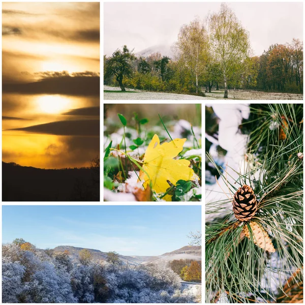 Collage Sobre Tema Finales Otoño Primera Nieve Parque Hoja Arce —  Fotos de Stock