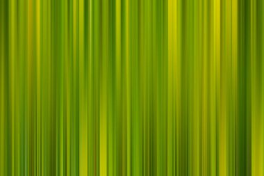 arka arka plan bulanık dikey yeşil çizgili