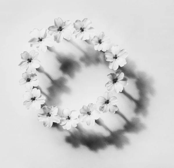 floral abstraction in the style of minimalism, round frame of flowers primrose with shadow, black and white photo