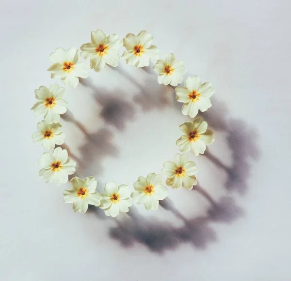 floral abstraction in the style of minimalism, a round frame of yellow flowers primrose with shadow