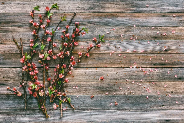 Fleurs Roses Fleurs Sur Les Brindilles Pêche Sur Fond Bois — Photo