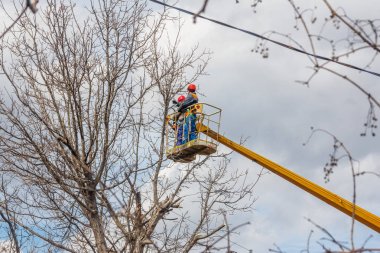 elektrikçiler temiz elektrik telleri Kırpma yüksekliği ağaç