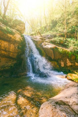 bir ormandaki bir dağ nehir üzerinde bir şelale ile bir sıcak bahar gününde manzara