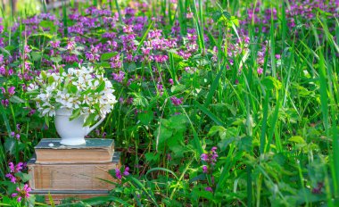 Seramik kupa bir yığın üzerinde beyaz çiçekli çiçekli bitkiler sıcak bahar ya da yaz güneşli sabah ile bir açıklıkta eski kitaplar