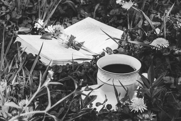 Open Book Cup Hot Coffee Green Meadow Summer Spring Morning — Stock Photo, Image