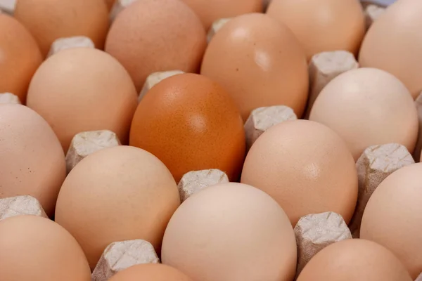 Eggs Carton Boxes Laying Top View Closeup — Stock Photo, Image