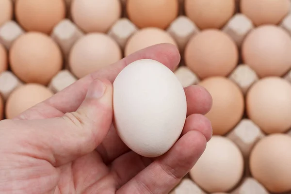Raw Egg Male Fingers Background Carton Eggs Closeup — Stock Photo, Image