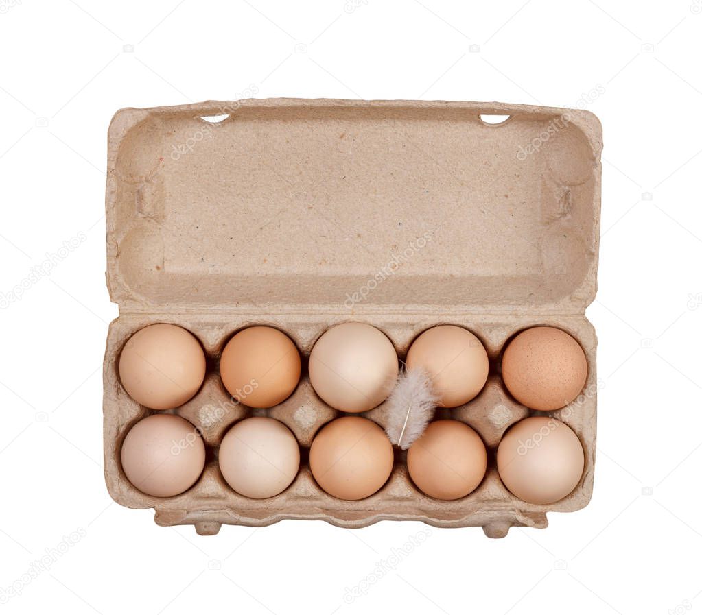 the eggs in the carton boxes laying isolated on white background top view close up