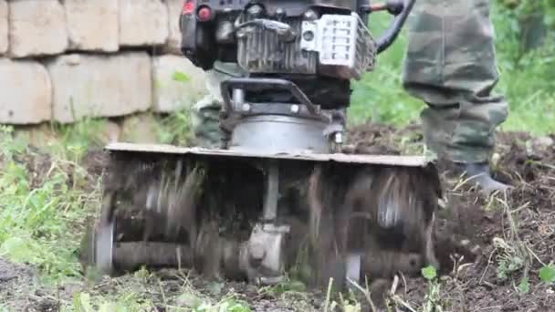 Homem Arado Chão Com Trator Gasolina Walk Preparando Para Plantar — Vídeo de Stock