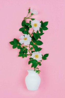 Pembe arka planda beyaz bir sürahi içinde pembe yabani gül çiçekleri.