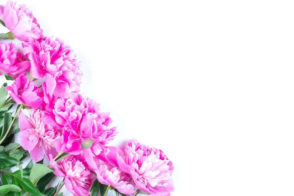 Buquê Flores Peônia Rosa Isolado Fundo Branco Com Espaço Cópia — Fotografia de Stock