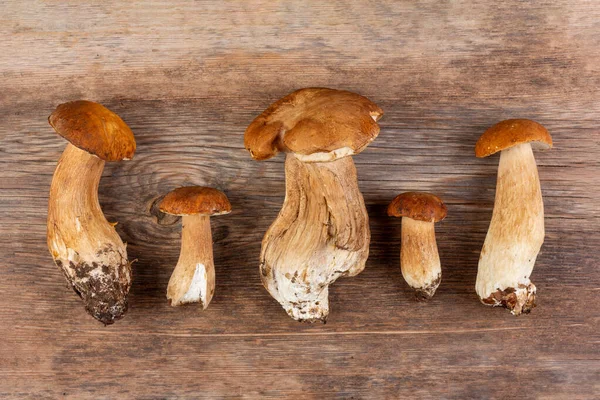 Funghi Porcini Porcini Crudi Commestibili Vecchio Sfondo Retrò Legno Primo — Foto Stock