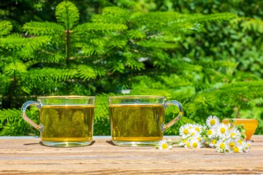 İki fincan yeşil papatya çayı, bir kasede bal ve güneşli bir yaz gününde açık bir masada bir buket papatya çayı, fotokopi alanı olan doğal yeşil bir arka planda.