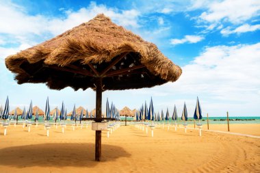 Güneşli bir gün sahilde Palm şemsiye