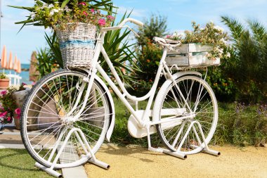 Vintage Bisiklet ve bahçede otopark vazo