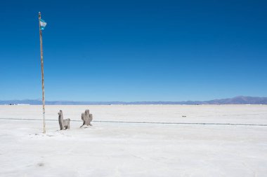 Salinas Grandes ve sembolleri (Arjantin bayrağı, lama ve kaktüs)