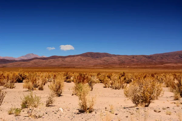 Deserto de puna em Argentina — Fotografia de Stock