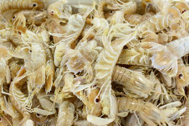 bir deniz ürünleri pazarda squilla mantis