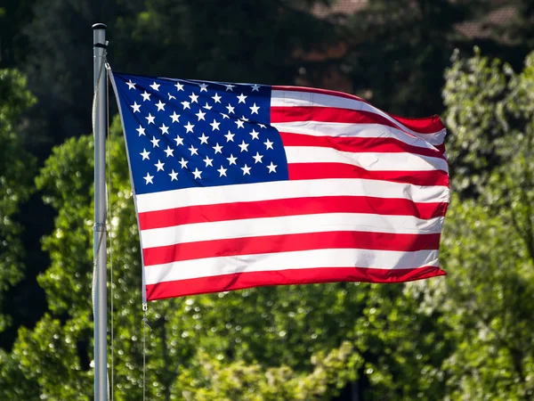米国旗、緑色背景で — ストック写真