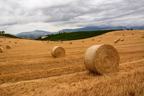 Pacas de paja en el campo con tormenta entrante — Foto de Stock