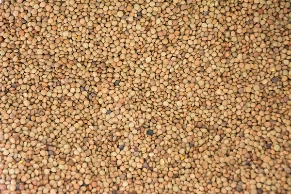 Mercimek desende yalnızca bir genişlik