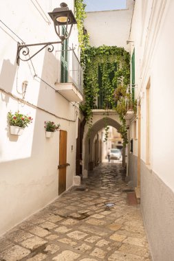 Alleyway ve Fasano tarihi merkezi (İtalya kemer)