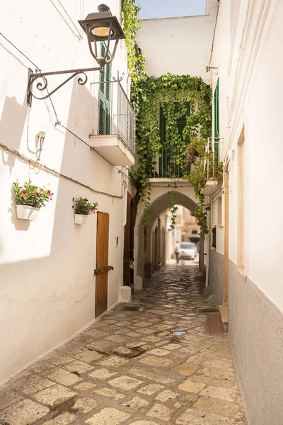 Callejón y arco en el centro histórico de Fasano (Italia) ) — Foto de Stock