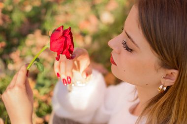 Gül Sevgililer günü içinde bir kızla