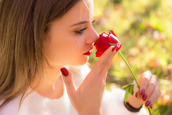 Girl sniffing a red rose in San Valentine day Royalty Free Stock Photos