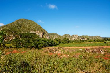 Mogotes ile Vinales vadi Panorama
