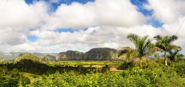 Valle di Vinales Mogotes ve palmiye ağaçları ile Panoraması
