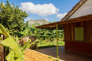 Vinales vadisinde muz tarlalarında kırsal konutlama