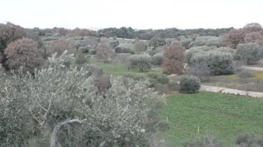 Cisternino, İtalya - 28 Aralık 2017: Trulli, Apulia bölgesindeki tipik ev