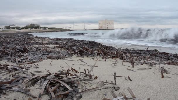 Ostuni Italia Gennaio 2018 Spiaggia Con Posidonia Mare Con Onde — Video Stock