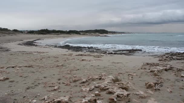 Opuštěná Pláž Zimě Před Bouří — Stock video