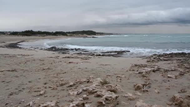 Spiaggia Deserta Inverno Prima Della Tempesta — Video Stock