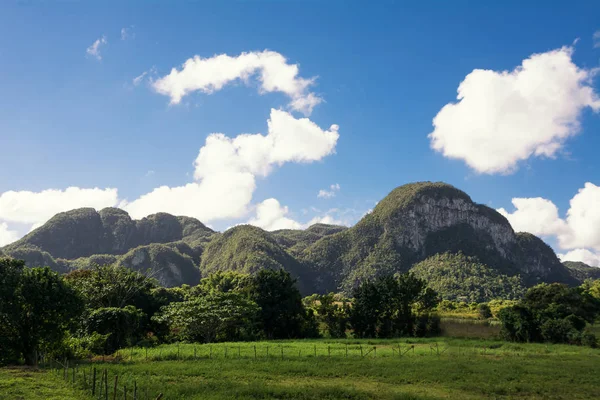 Mogotes ile Vinales vadi Panorama