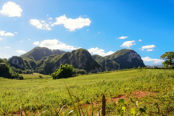 Mogotes ile Vinales vadi Panorama
