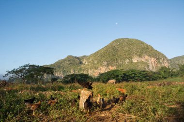 Mogotes ile Vinales vadi Panorama