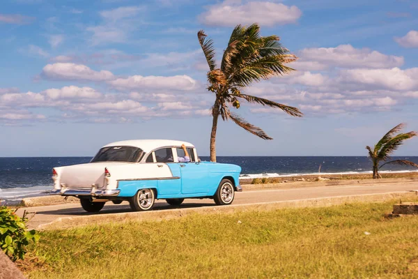 哈瓦那 2017年12月11日 古巴海滨的旧车和棕榈树 — 图库照片