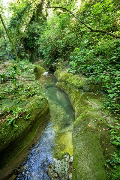 Vale do rio Alento em Serramonacesca (Itália): uma lata selvagem — Fotografia de Stock