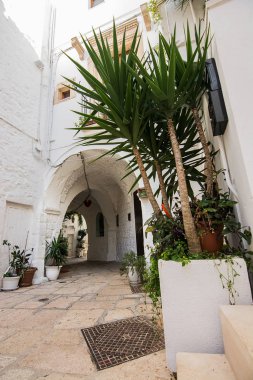 Cisternino 'nun tarihi merkezinde bir ara sokakta altgeçit (Ital