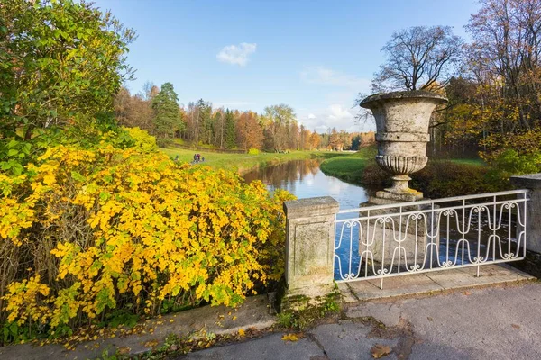 parlak sonbahar manzara     