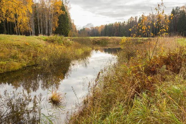 Parlak sonbahar su manzara 