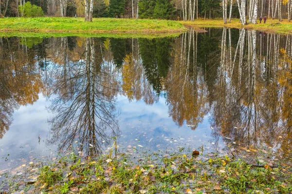 Parlak sonbahar su manzara 
