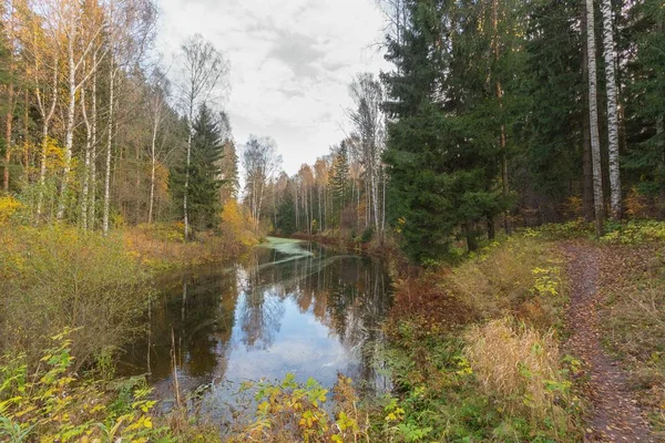 Parlak sonbahar su manzara 