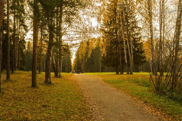 Parlak sonbahar su manzara 